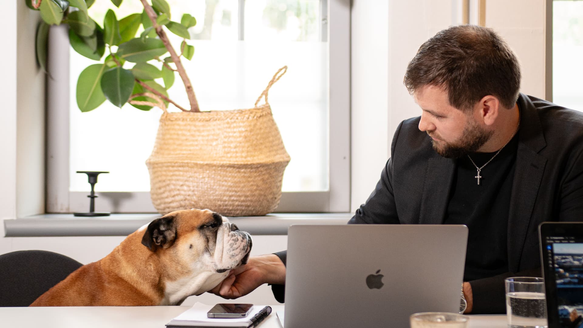 A colleague with the office dog